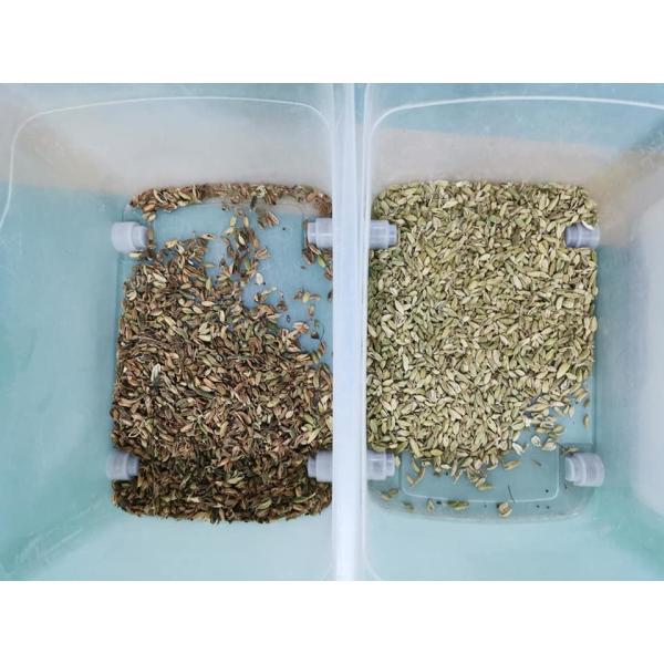 Optical Plastic Color Sorting Machine And Food Processing Machine For Sorting Plastic Pet Granules Flakes With CCD Sensor