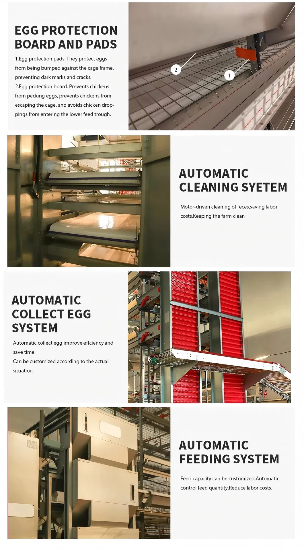 Labor Saving Poultry Layer Cage H Type Battery Cage System With Automatic Egg Collection