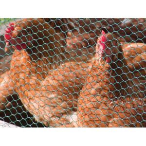 Galvanized Hexagonal Wire Netting 3feet breeding chicken coop wire mesh