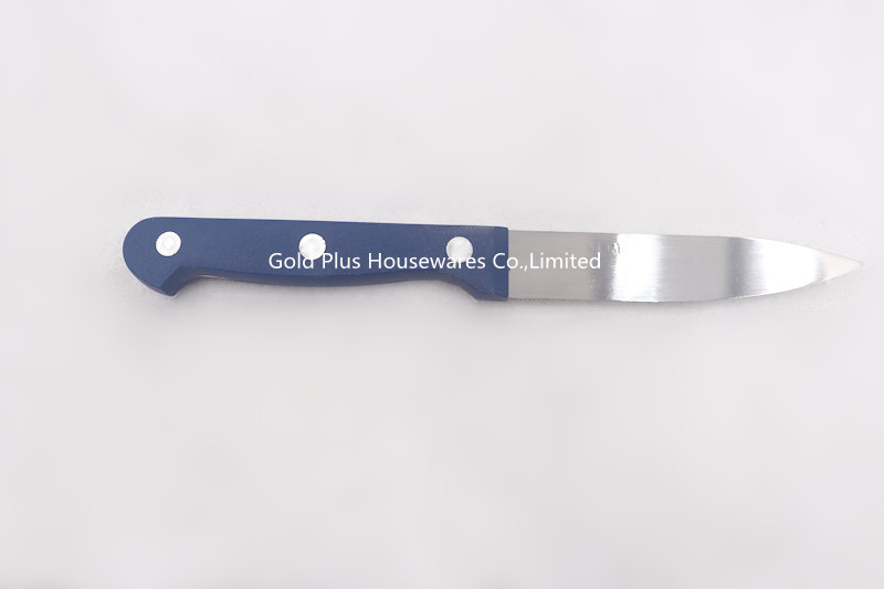 Promotional gifts stainless steel steak knife with hard plastic handle sharp fruits paring knife