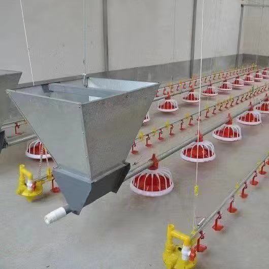 Automatic Animal Feeders Poultry Farm Feeding Line Chicken Feeding and Drinking System