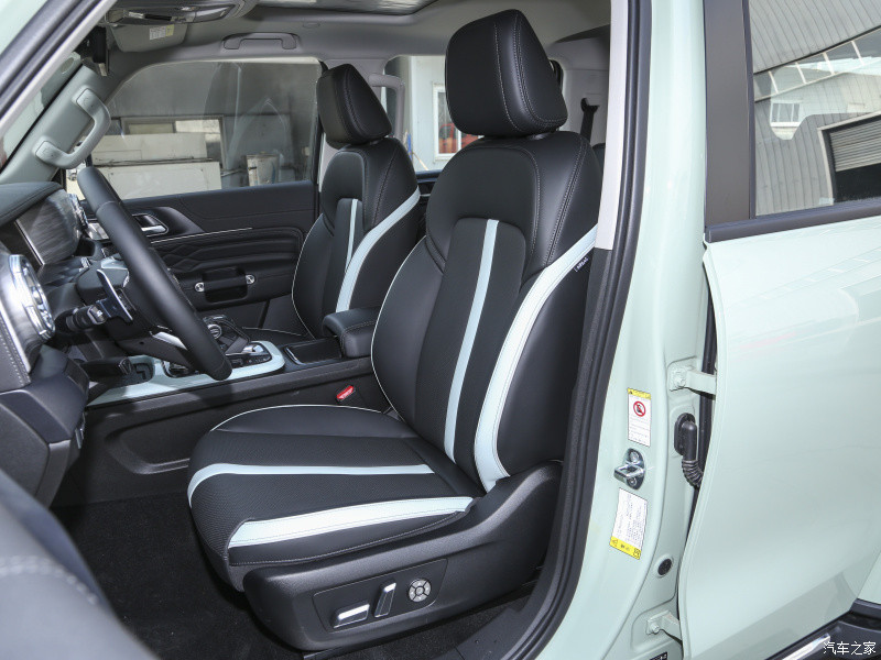 Diesel Or Gasoline Car 2023 Tank300 2.0T City Model Must Version Gasoline Compact SUV