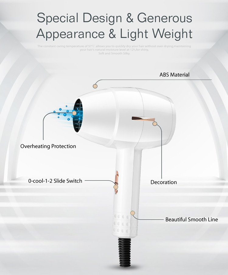 Pink Color Fashion Cylindrical Type OEM Custom Light Weight Hair Dryer Mini Dual Voltage Blow Dryer With Overheating Pro