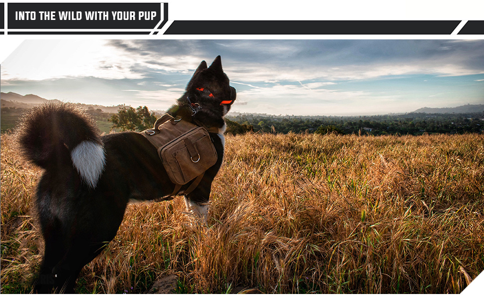 Ultimate Comfort Dog Saddle Bag Premium Canvas Material Military Dog Travel Training Backpack