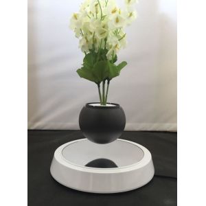 Quality new magnetic floating levitated air bonsai planter for sale
