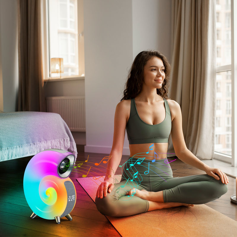 Conch Music Lamp Smart Light Sound Machine G Speaker Lamp White Grey Support OEM / ODM
