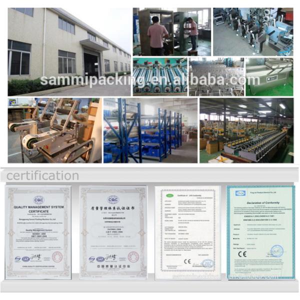 Stand up Spout Bag Sachet Water Pouch Filling Machine