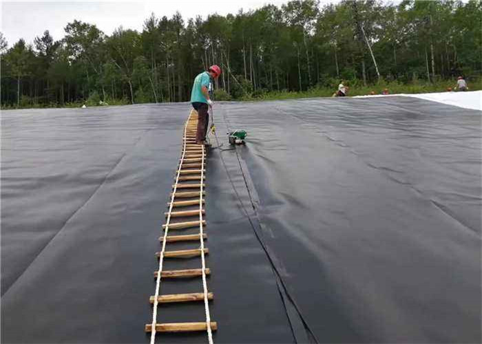Fish Pond Polyethylene Geomembrane Waterproof Aquaculture Hdpe Impervious