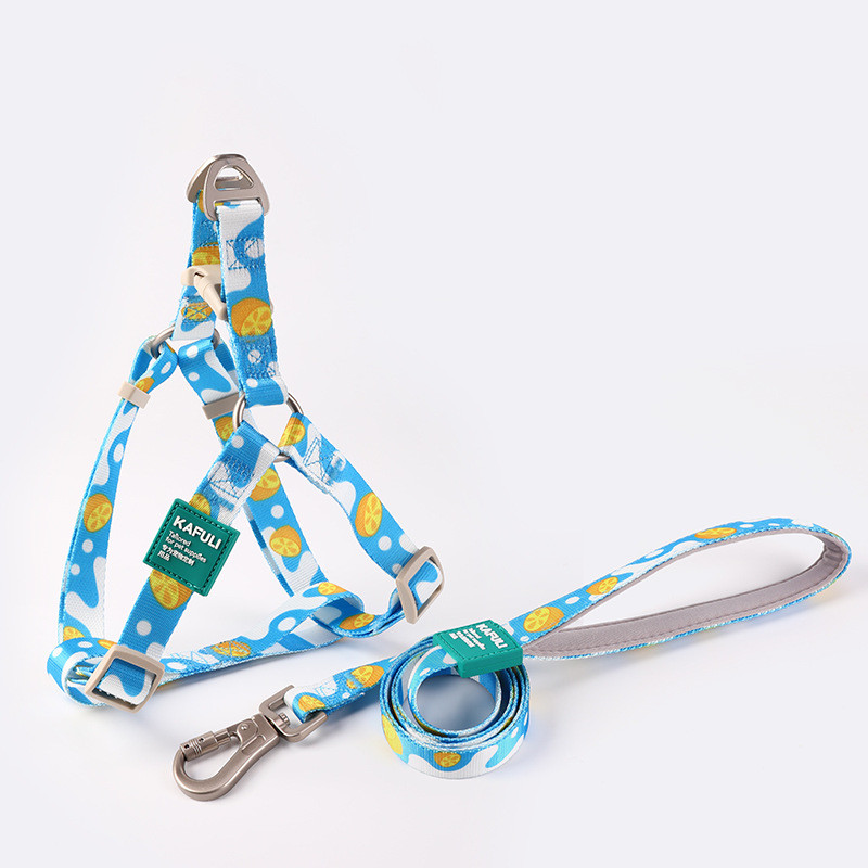 Pet Printed Harness Medium And Large Dogs Anti Breakaway Vest Style Leash
