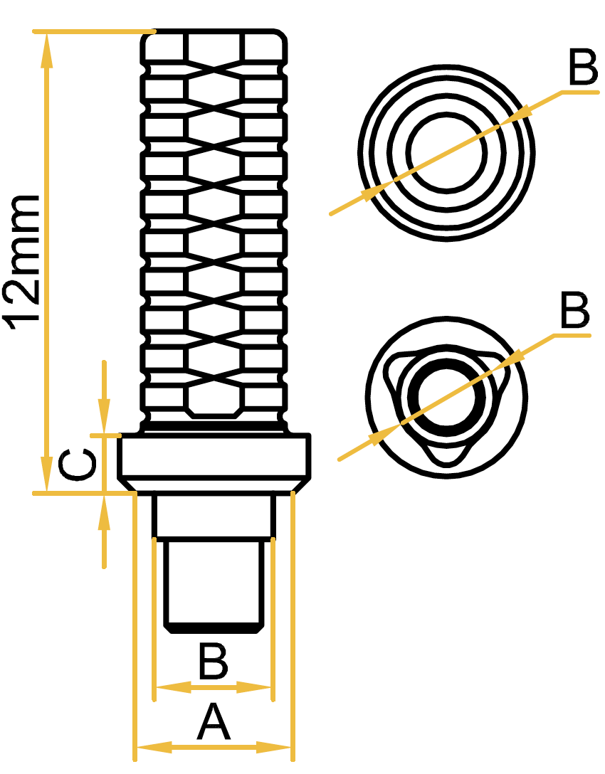 P-Provisional-Tri-lob.png