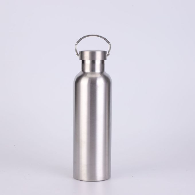 17 oz Stainless Steel Sports Water Bottle Insulated Reusable Water Bottles with Handle Metal Bottle for Hikers Gift