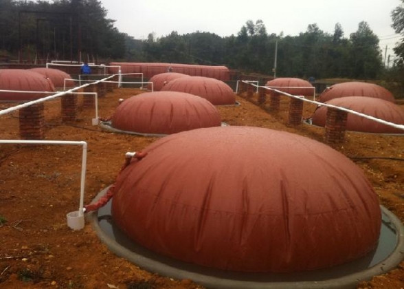Quality Household Biogas Digester Tank Clean Energy Saving Biogas Reactor for sale