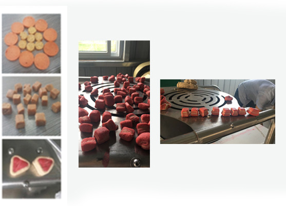 Cold Extrusion Pet Food Making Machine