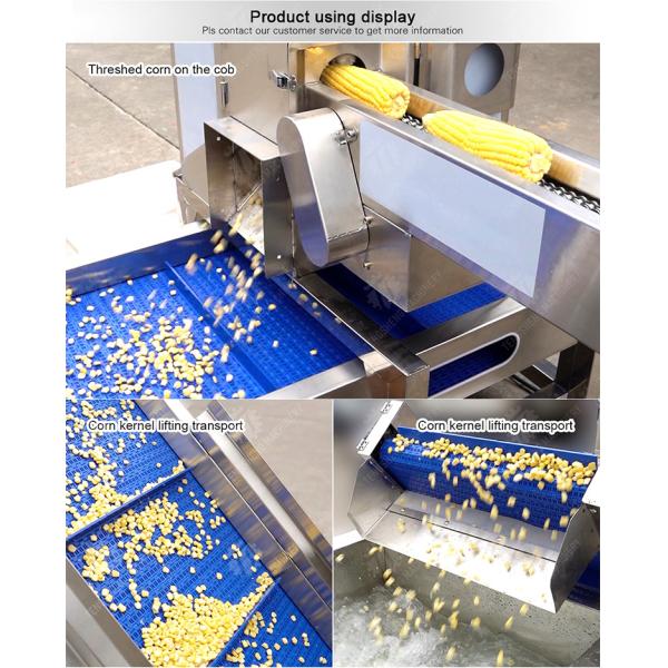 Streamline Your Manufacturing Process with Our Advanced Fruit And Vegetable Processing Line