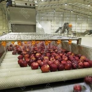 Apple chip freeze drying machine processing line Intelligent temperature control