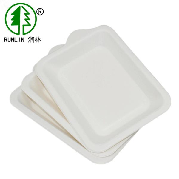 7g Environmental Protection Rectangular Cake Plate Biodegradable Sugarcane