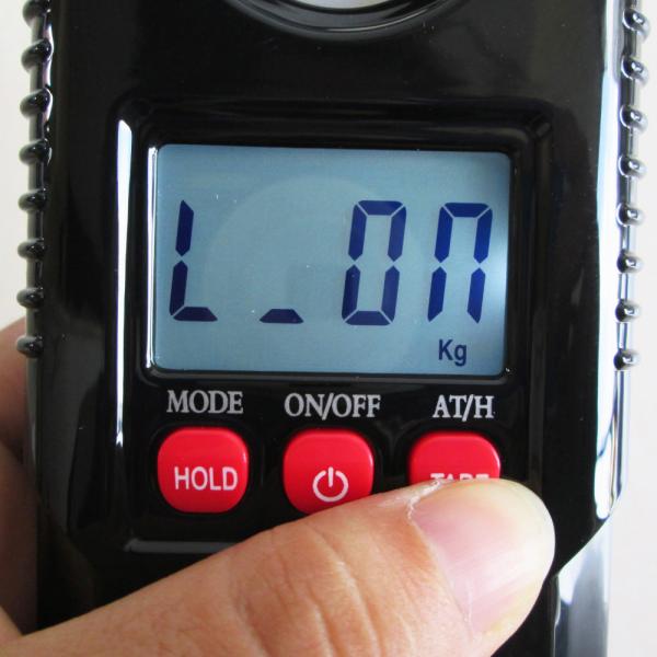 Mini Digital Crane Scale 300 KG Industrial Hook Weighing Scale with LCD/LED Display 10G Accuracy ABS Material OEM Customizable