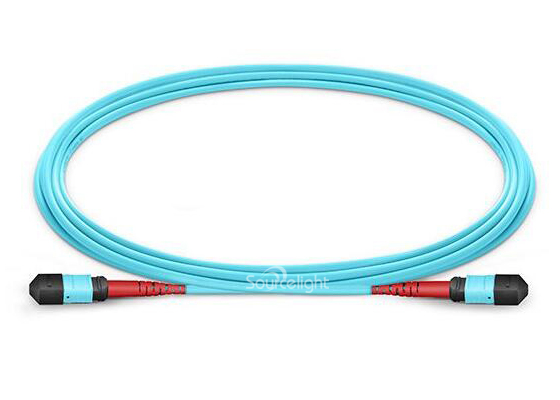 12 Fiber Fiber Optic Mpo To Mpo Patch Cable Jumper Apc Il 0.3db