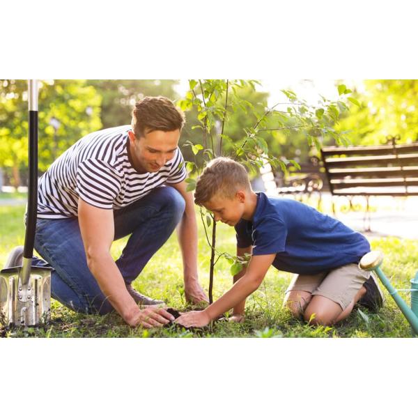 Watering Bags Slow Release