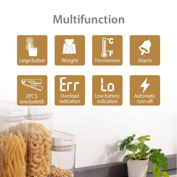 Multifunction Kitchen Scale with Lid Maximum Weight Recommendation 5kg Stainless Steel Food Scale and Digital Thermometer