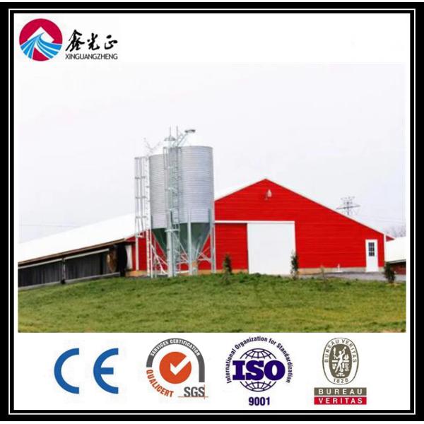 CE Broiler Chicken Cage System Pan Feeding System For Poultry Farming