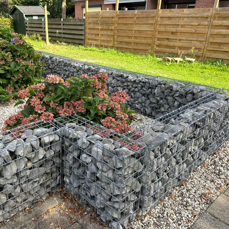 From Wire Mesh Box To Wild Planting A Green Gabion Wall That Lasts