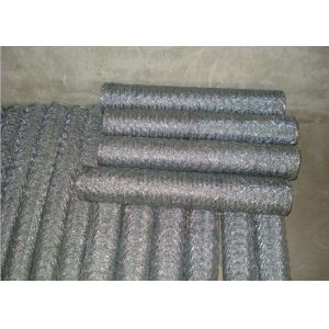 Hot dip galvanized 50mm 1.6mm chicken Hexagon Metal Mesh