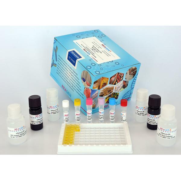 Amoxicillin ELISA Test Kit , Amoxicillin kit , testing kit , high recovery rate