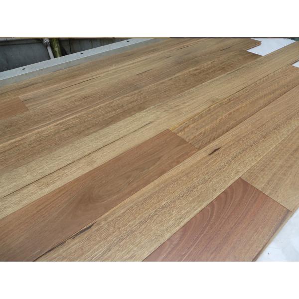 18mm Thickness Australian Spotted Gum Solid Timber Flooring with 25 Years Warranty and E0 Formaldehyde Emission