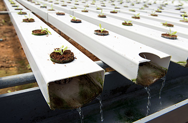 Customized PVC Pipe Vertical Tower Grow Channel Growing System for Vertical Farming