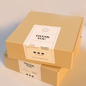 Custom Logo Printed Private Shipping Mailer Box Packaging Accepting Customized