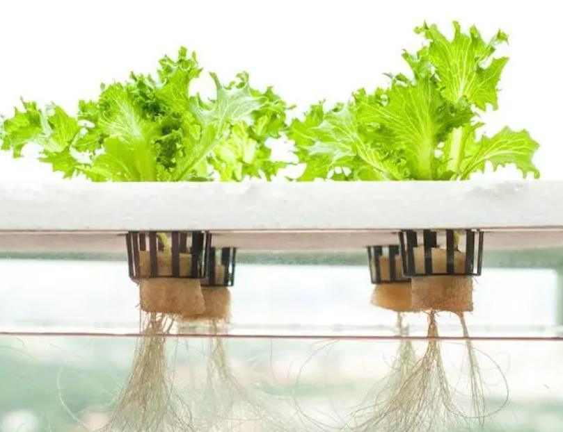Hydroponic System Climate Control Film Greenhouse by Juxiang