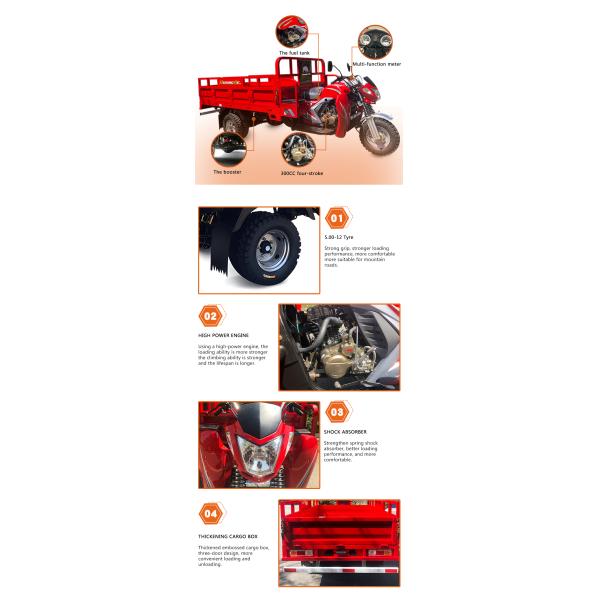 3-Wheel Cargo Motorcycle Truck 800kg Load Capacity Petrol Engine