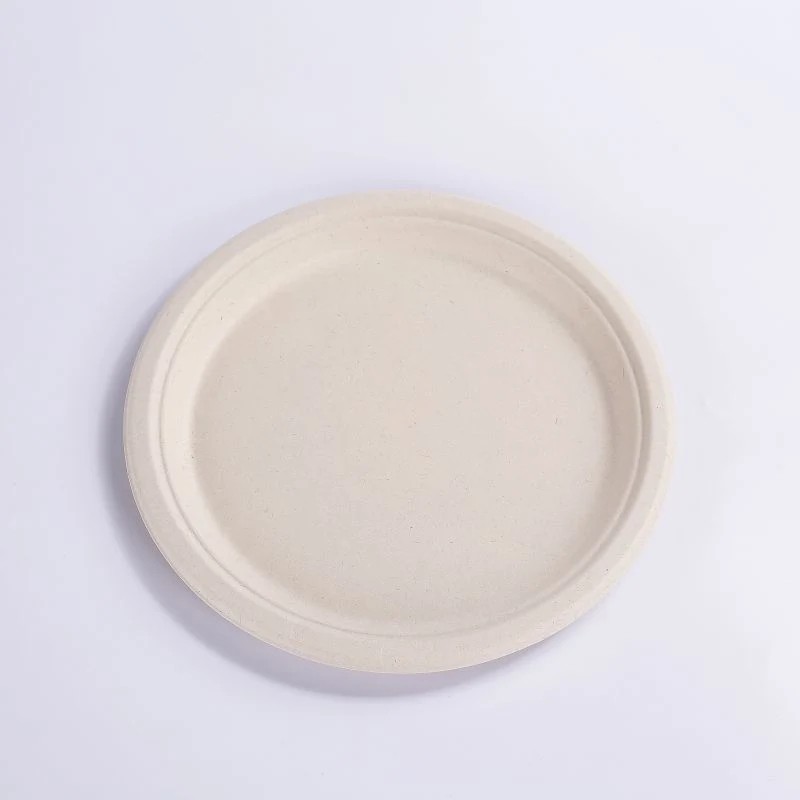Waterproof Eco Friendly Disposable Sugarcane Bagasse Food Container