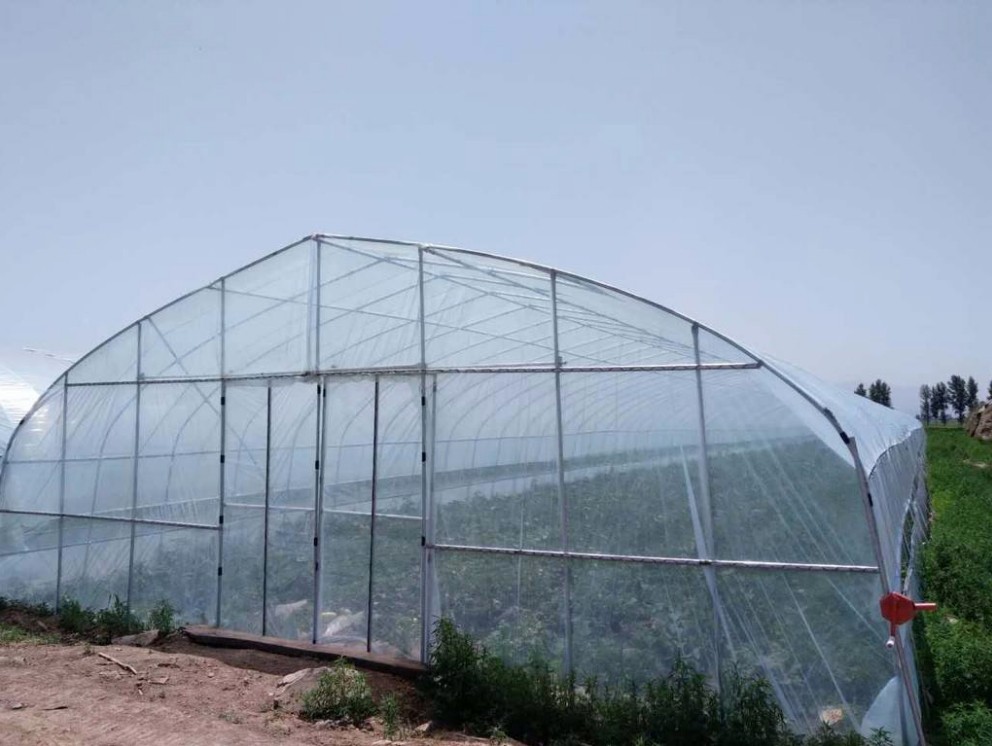 Customized Size Film Cover The Ultimate Solution for Agricultural Stretch Film Roll