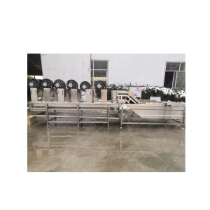 Bamboo shoot processing equipment vegetable processing line
