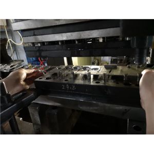 Car Brakes Progressive Die Stamping Auto Parts Brake Clips Stamping Mould