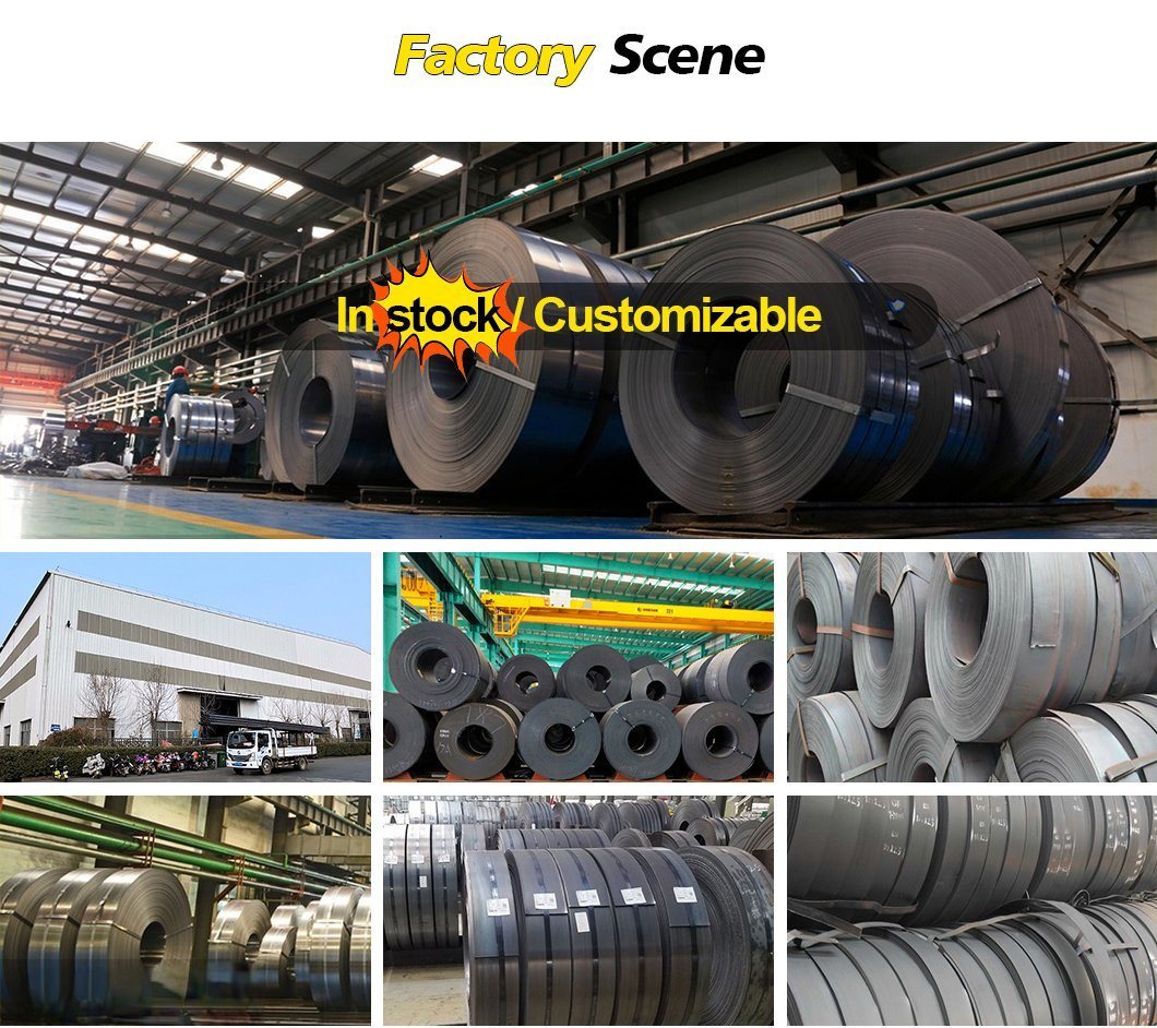 Hot Rolled Steel Coil Ss400b Cold Rolled Steel Coil Full Hard, Cold Rolled Carbon Steel Strips/Coils Galvanized Steel Coil Blue Polish Spring Steel Strip