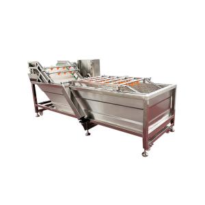 Vegetable Cleaning Machine Bubble Washing Mushroom Jujube Washing Machine