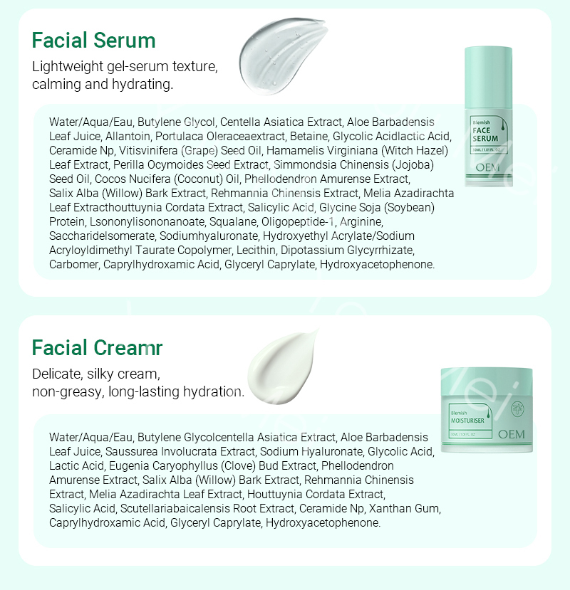 Anti Acne Ceramide NP Sodium Hyaluronate Facial Skincare Set Black Spot Whitening