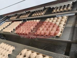 Quality Wanyou High Quality Low Cost Small Waste Paper Pulp Egg Tray Machine for sale
