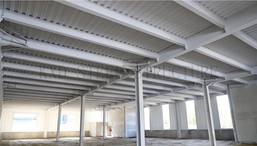 Hot DIP Galvanizing Light Metal Frame Prefab Farm Animal Poultry Shed