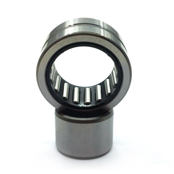 Brass Cage 10mm Needle Roller Bearing Double Ribs