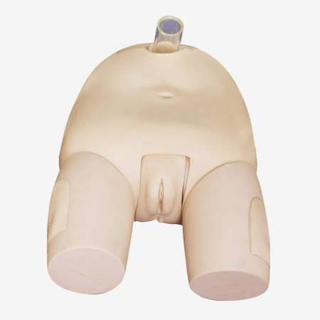 Quality Advanced Nursing Manikin Female Bladder Puncture Simulator Educational Equipment for sale