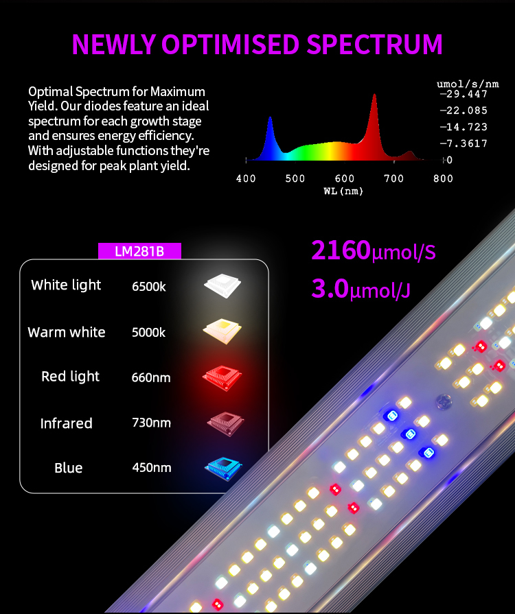 High Yield Commercial Greenhouse Vertical Farms Full Spectrum 3.0μmol/J 720W LED Hydroponics Plant Grow Lights