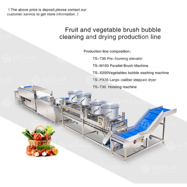 Revolutionize Your Production Process with Our Fruit And Vegetable Processing Line