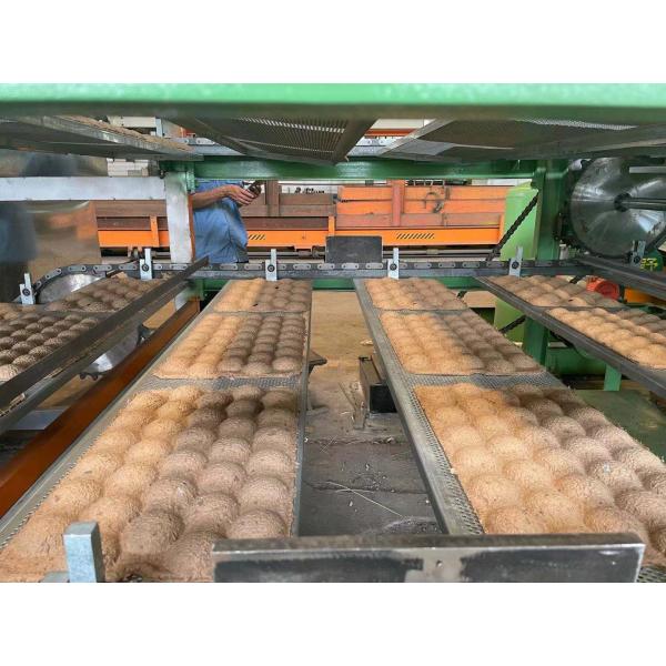 350pcs/H Paper Egg Tray Making Machine Fully Automatic