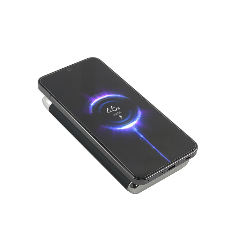 Micro USB Type C Portable Power Bank Full Power Bank for Smart Phone USB Devices