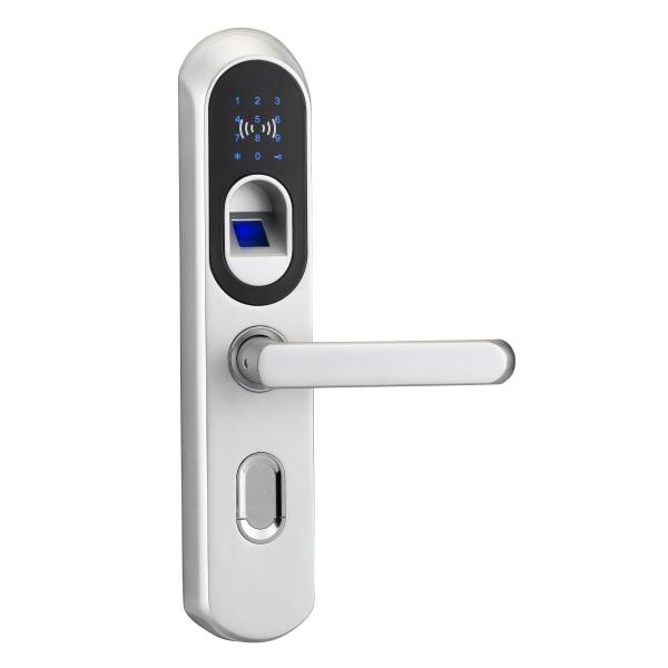 Outdoor Keyless Biometric Fingerprint Door Locks With Deadbolt