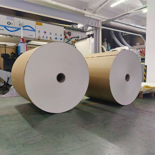 Haet Insulation Coated PE Blank Paper Cup Raw Material Fans Food Grade